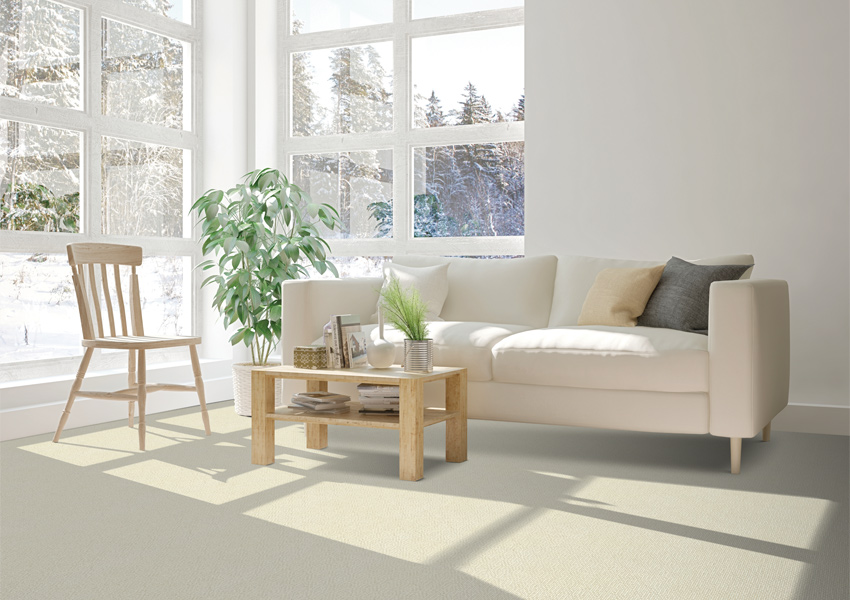 cream carpet in living room with white couch and wood coffee table